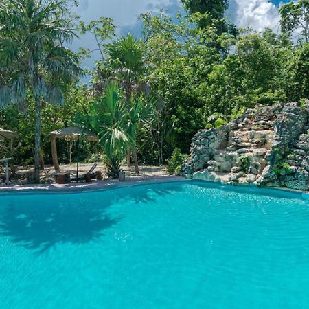 Jolie Jungle Eco Hotel (Adults Only) Leona Vicario エクステリア 写真