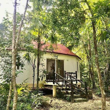Jolie Jungle Eco Hotel (Adults Only) Leona Vicario エクステリア 写真