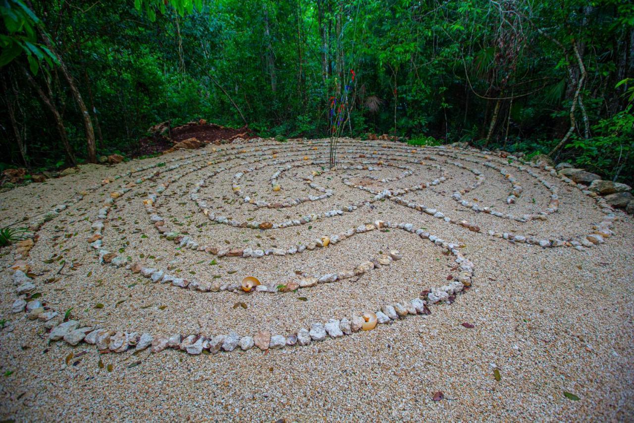 Jolie Jungle Eco Hotel (Adults Only) Leona Vicario エクステリア 写真