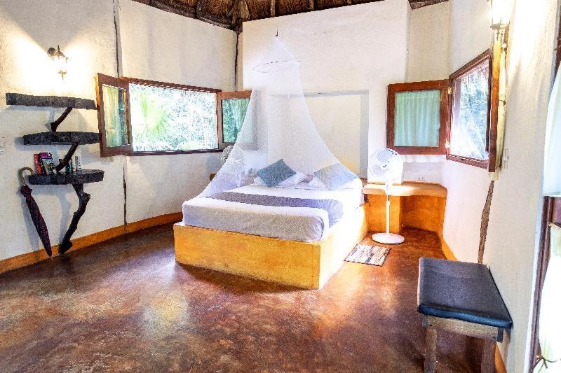 Jolie Jungle Eco Hotel (Adults Only) Leona Vicario 部屋 写真