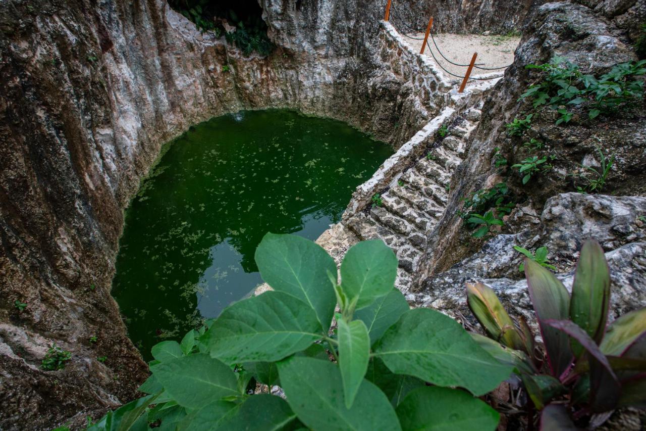 Jolie Jungle Eco Hotel (Adults Only) Leona Vicario エクステリア 写真