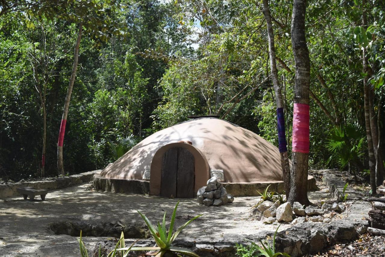 Jolie Jungle Eco Hotel (Adults Only) Leona Vicario エクステリア 写真