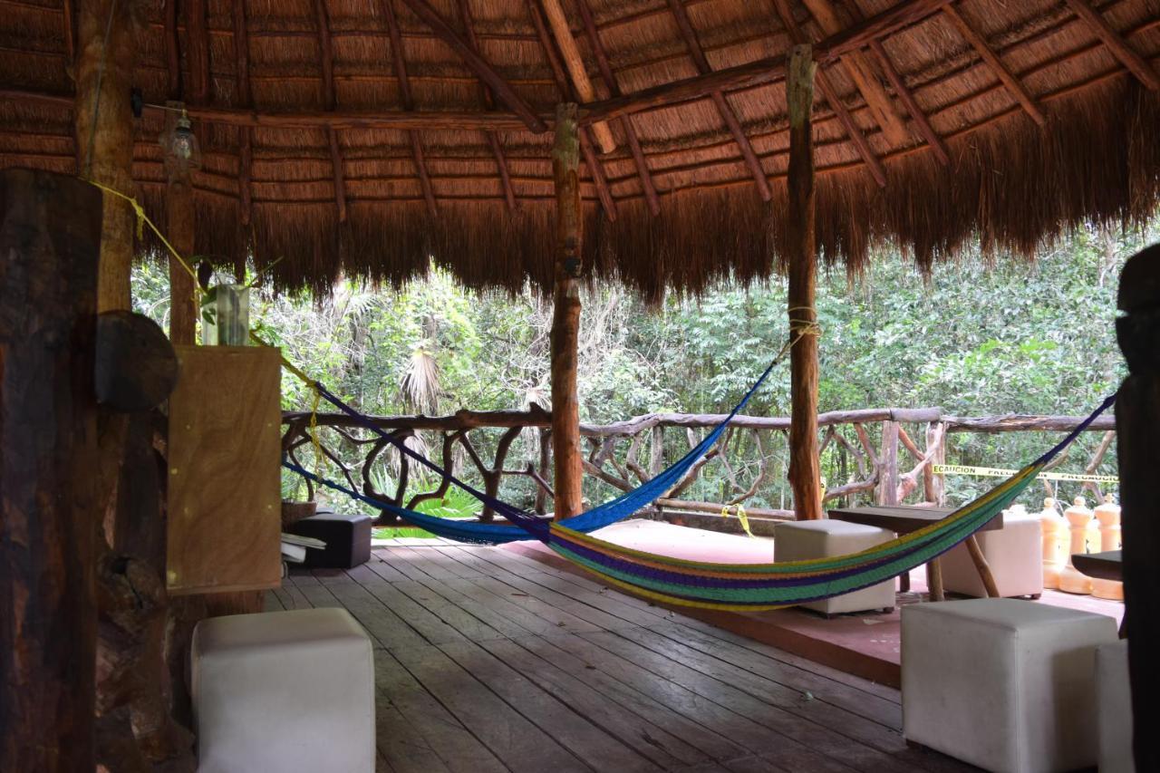 Jolie Jungle Eco Hotel (Adults Only) Leona Vicario エクステリア 写真