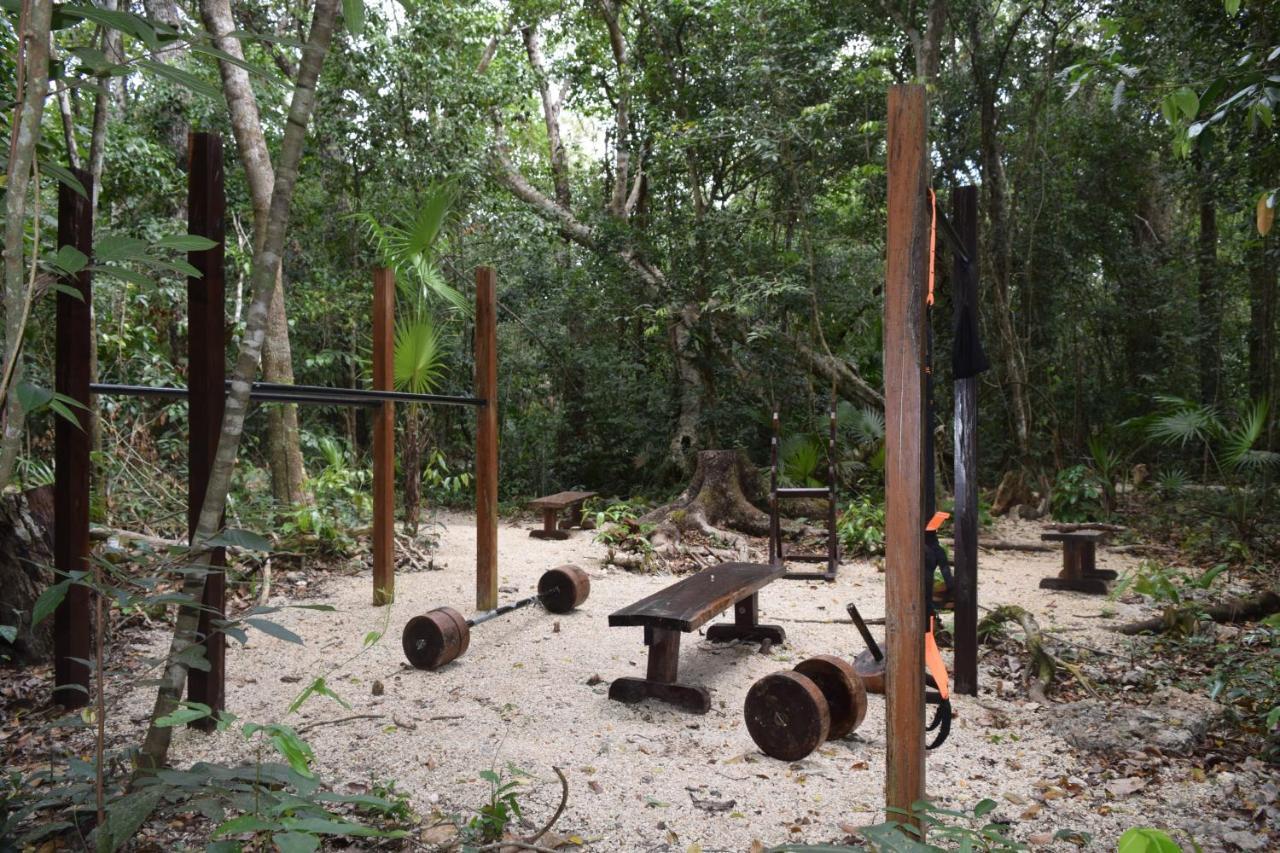 Jolie Jungle Eco Hotel (Adults Only) Leona Vicario エクステリア 写真