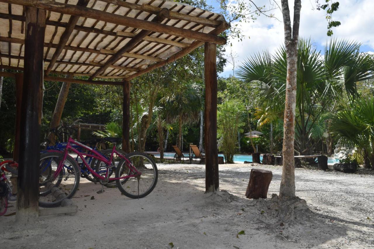 Jolie Jungle Eco Hotel (Adults Only) Leona Vicario エクステリア 写真