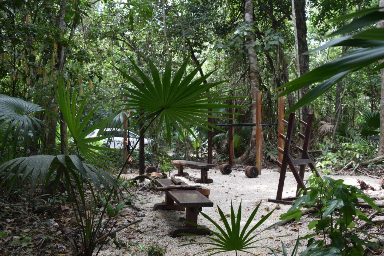 Jolie Jungle Eco Hotel (Adults Only) Leona Vicario エクステリア 写真