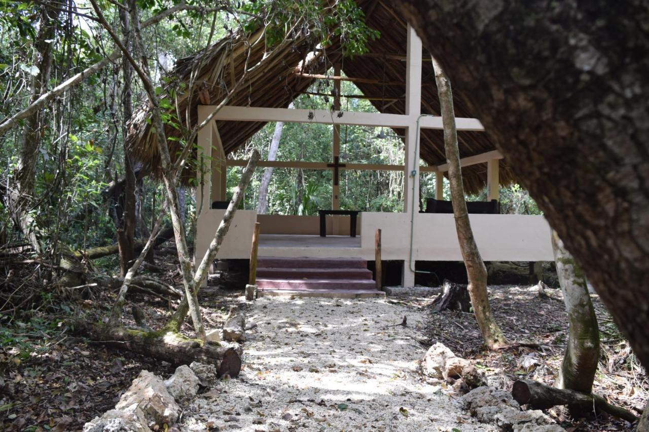 Jolie Jungle Eco Hotel (Adults Only) Leona Vicario エクステリア 写真