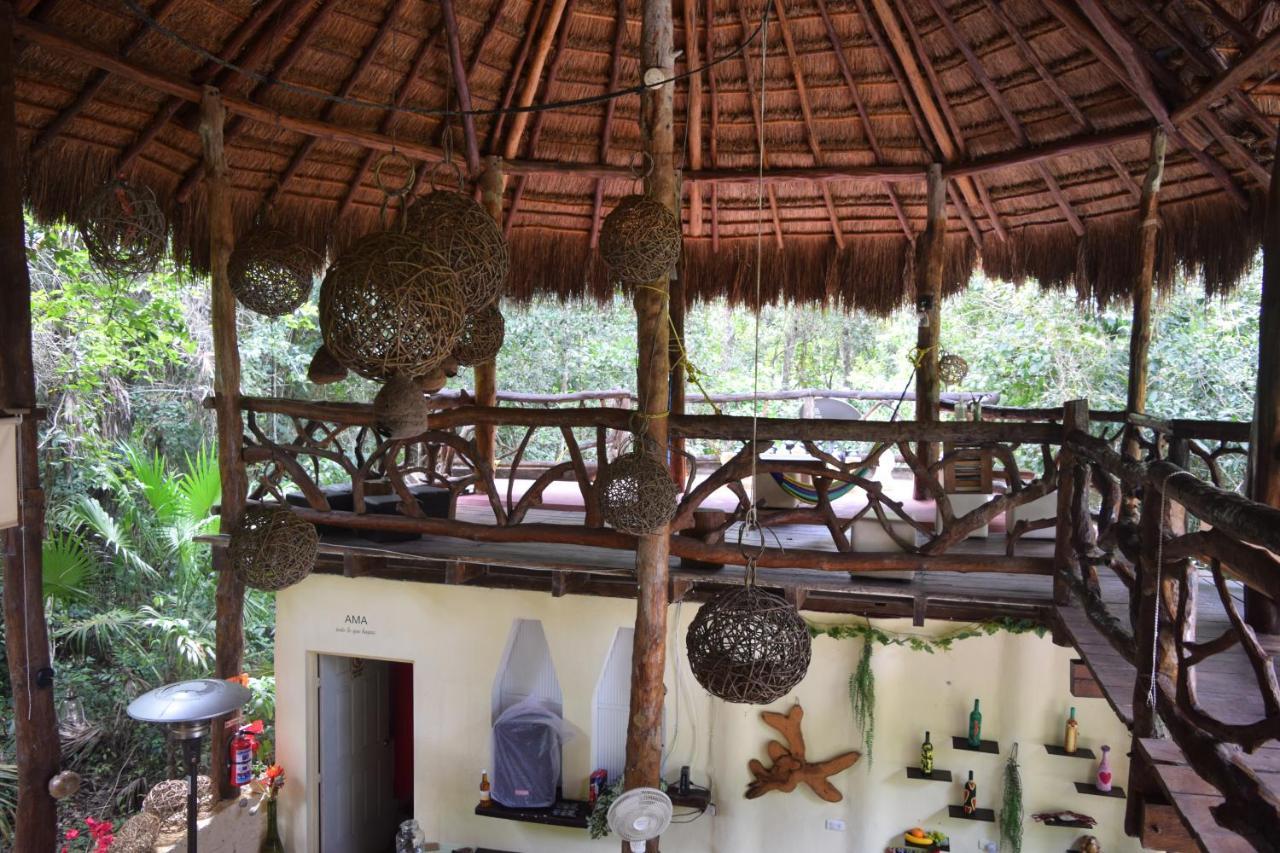 Jolie Jungle Eco Hotel (Adults Only) Leona Vicario エクステリア 写真