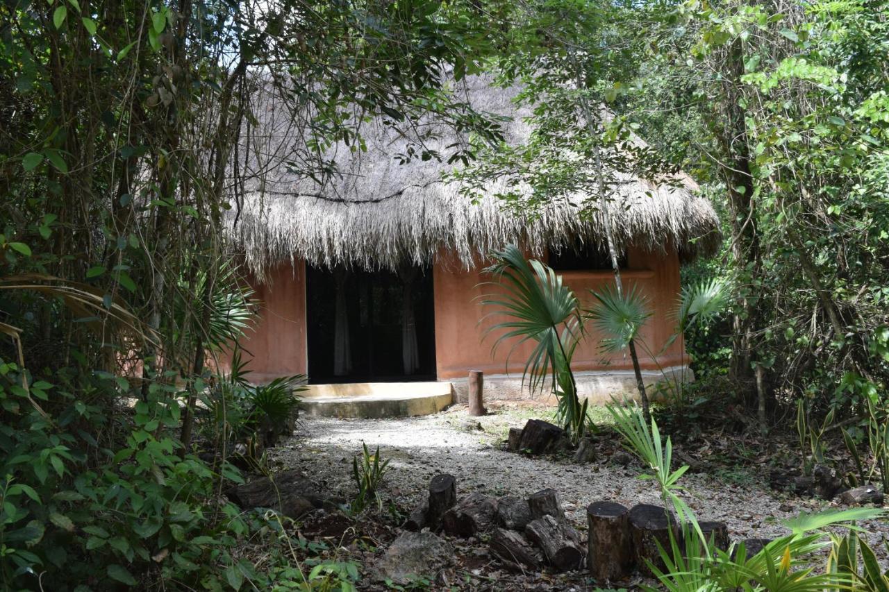 Jolie Jungle Eco Hotel (Adults Only) Leona Vicario エクステリア 写真