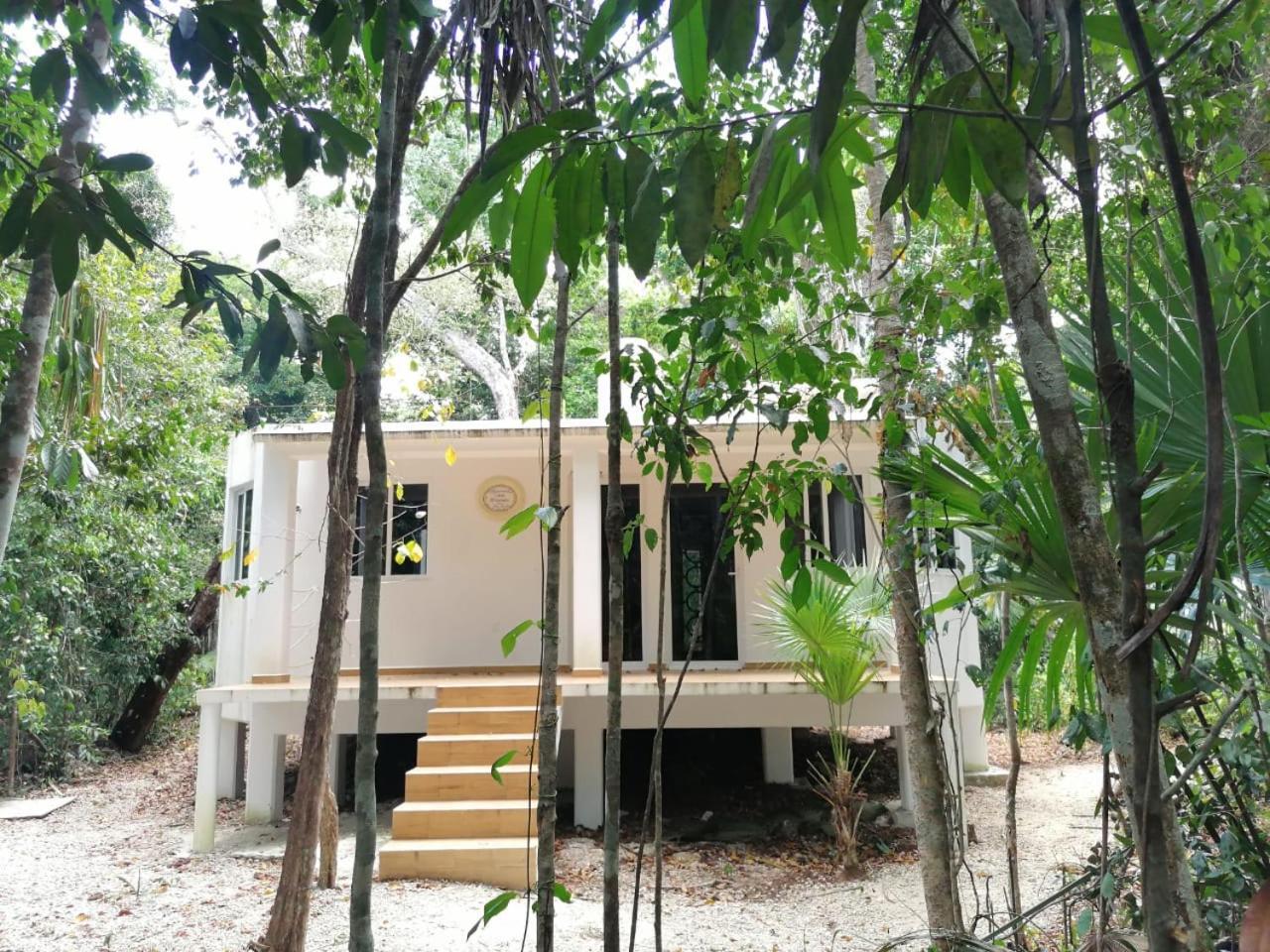 Jolie Jungle Eco Hotel (Adults Only) Leona Vicario エクステリア 写真