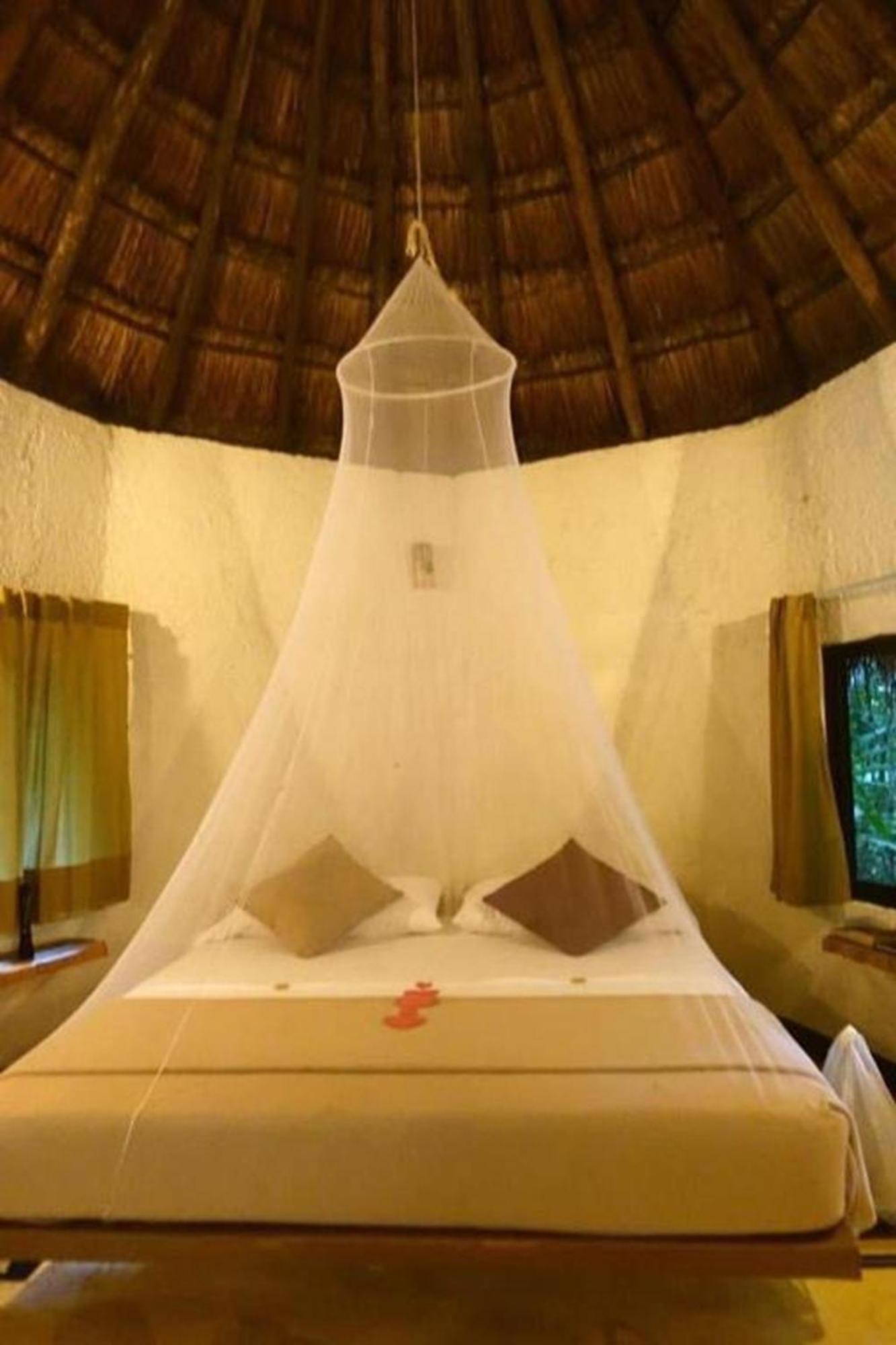 Jolie Jungle Eco Hotel (Adults Only) Leona Vicario エクステリア 写真