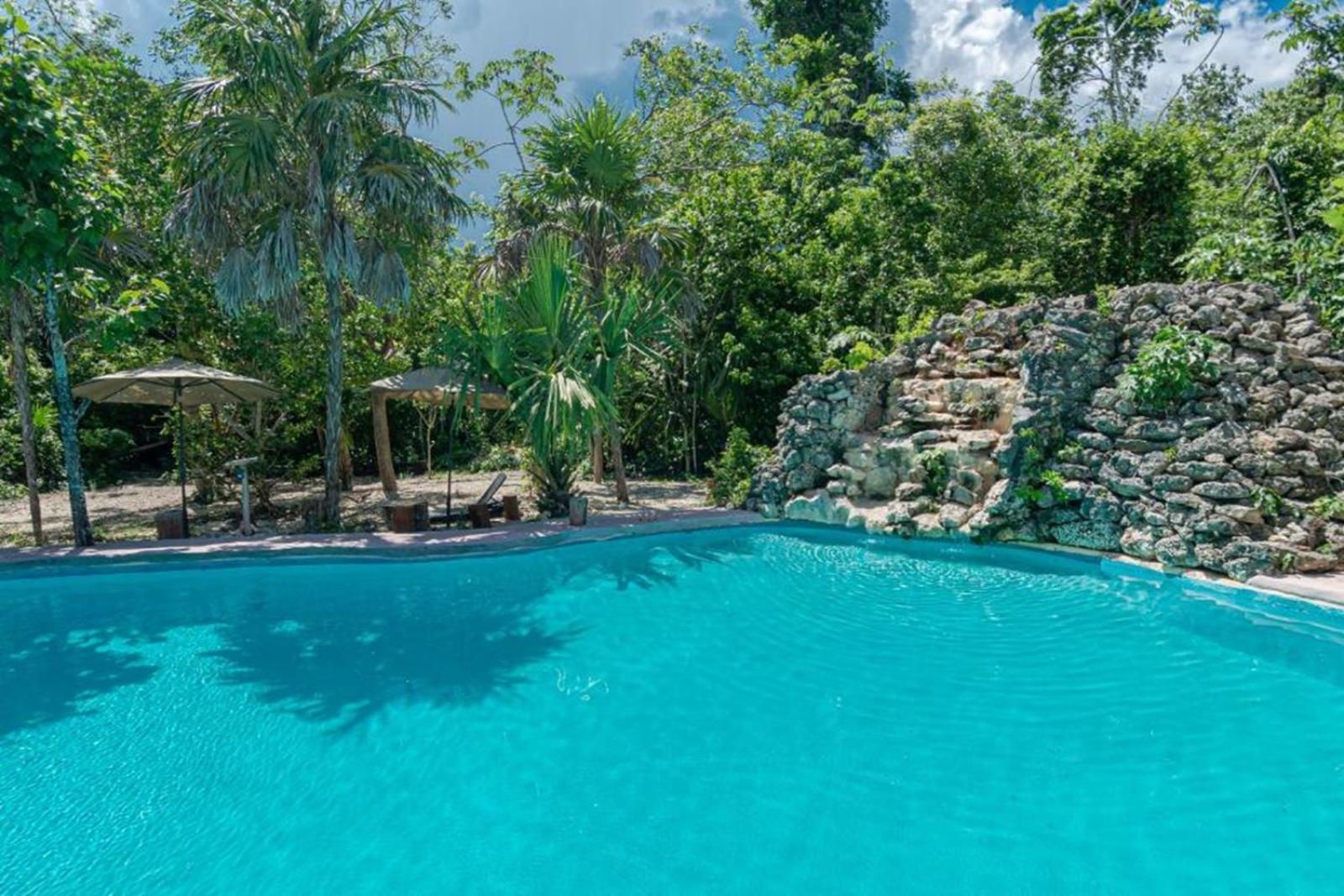 Jolie Jungle Eco Hotel (Adults Only) Leona Vicario エクステリア 写真