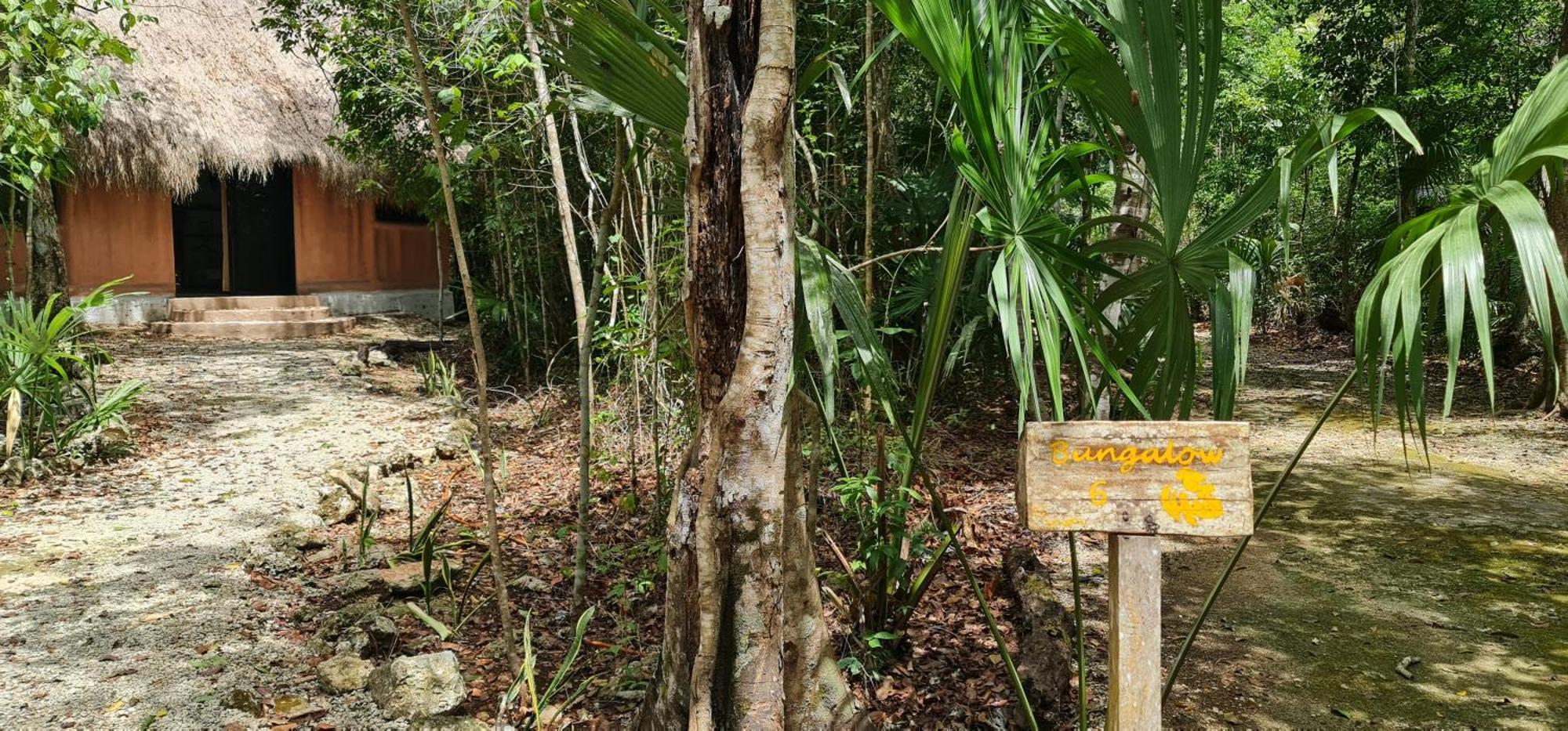 Jolie Jungle Eco Hotel (Adults Only) Leona Vicario エクステリア 写真