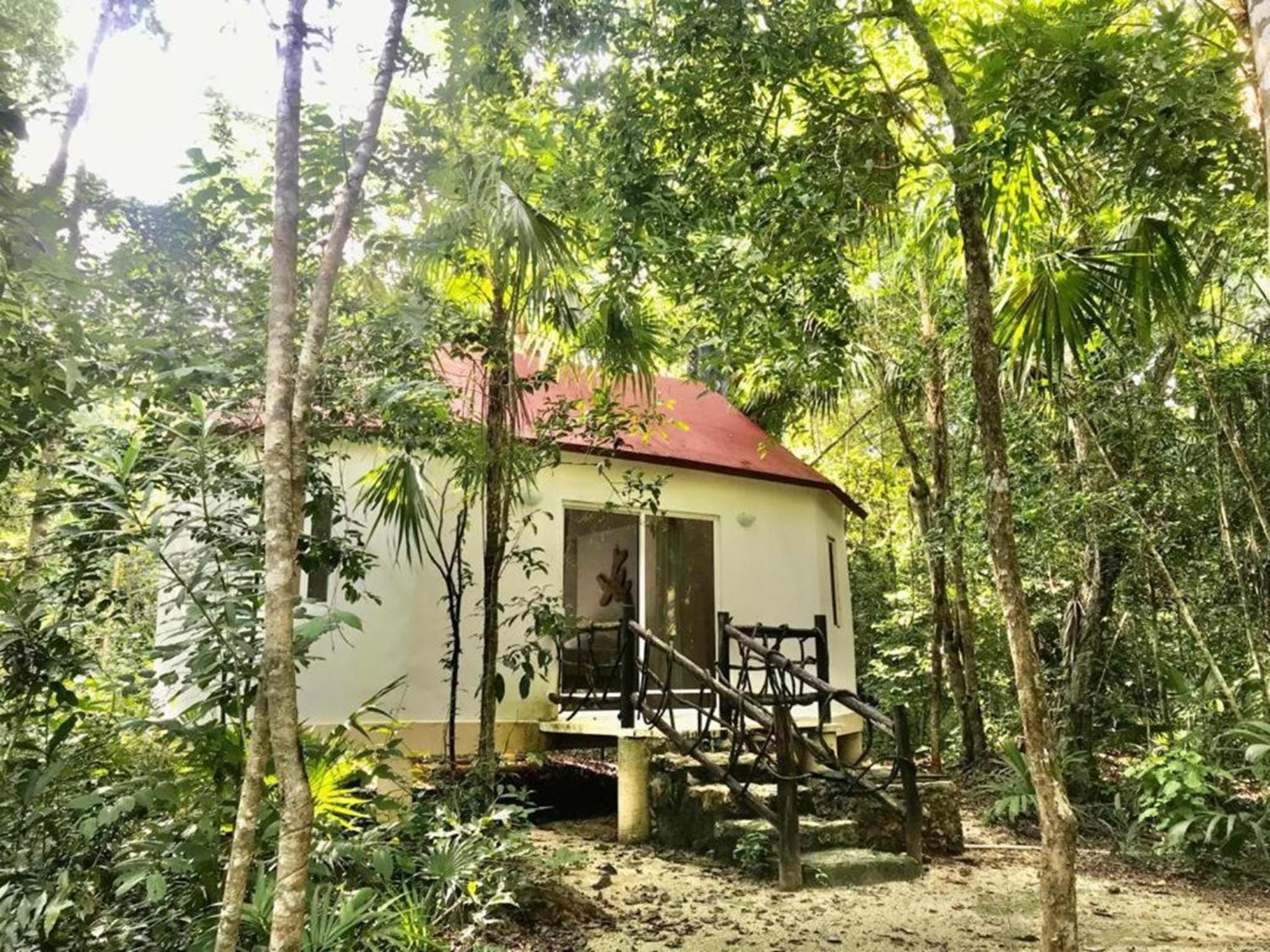 Jolie Jungle Eco Hotel (Adults Only) Leona Vicario エクステリア 写真