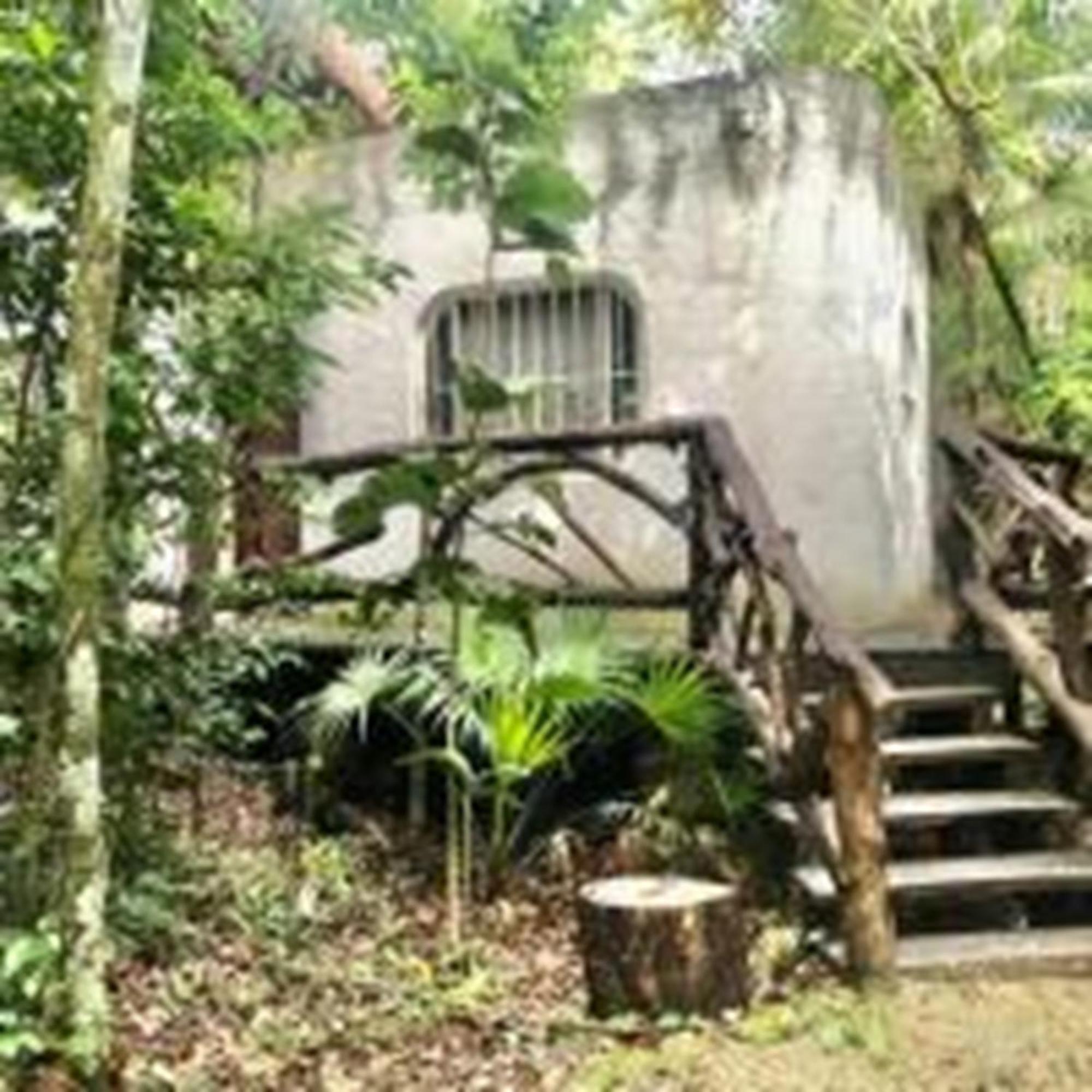 Jolie Jungle Eco Hotel (Adults Only) Leona Vicario エクステリア 写真