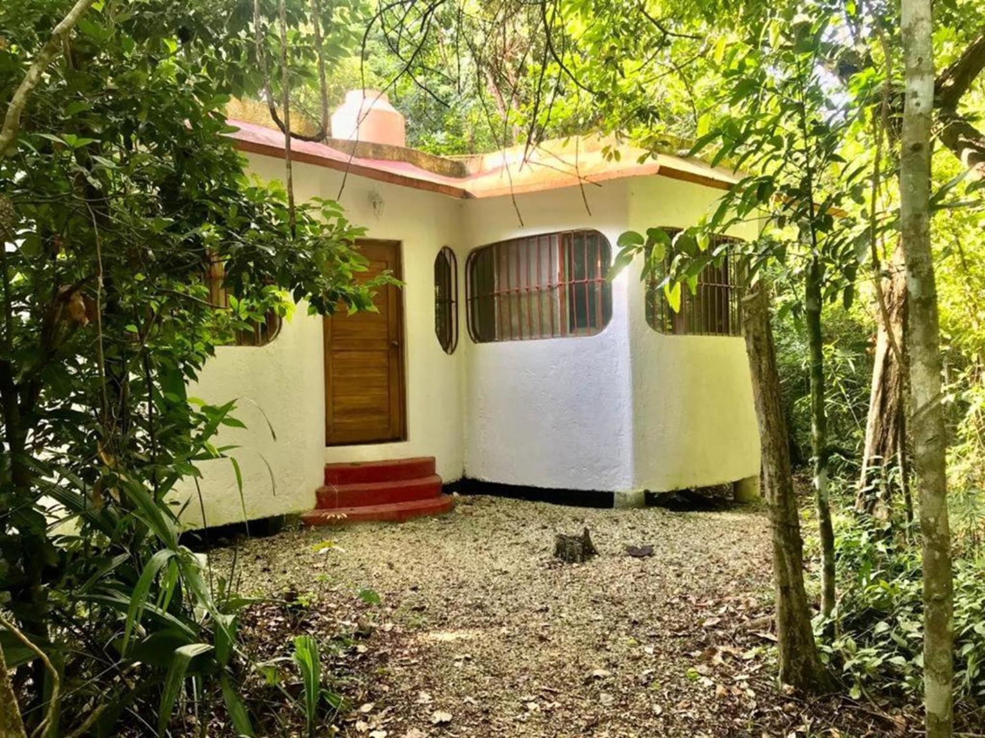 Jolie Jungle Eco Hotel (Adults Only) Leona Vicario エクステリア 写真