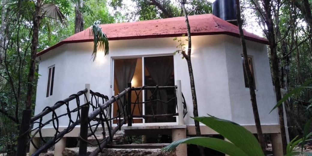Jolie Jungle Eco Hotel (Adults Only) Leona Vicario エクステリア 写真